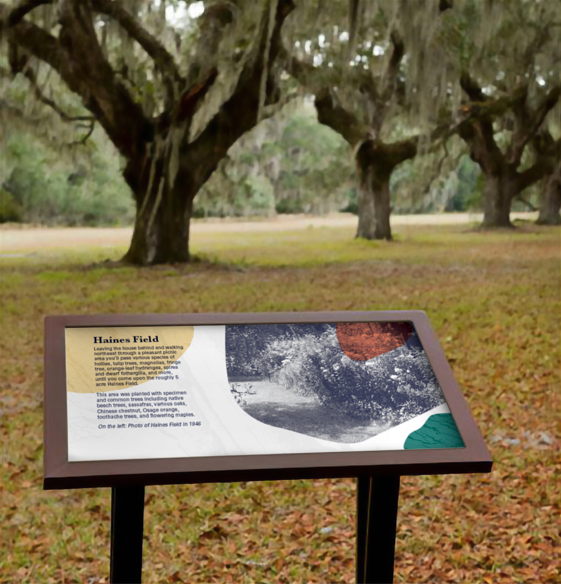 Ento packaging side view B